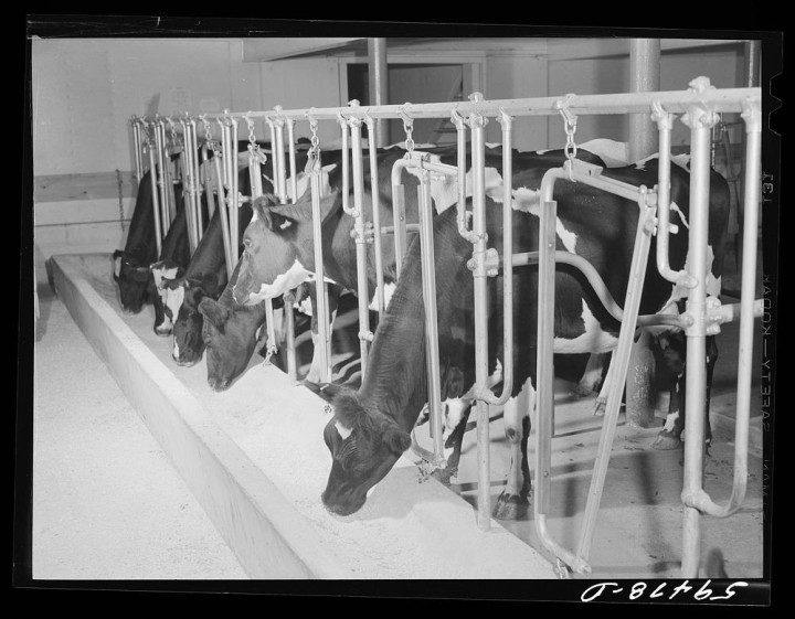 cHJpdmF0ZS9sci9pbWFnZXMvd2Vic2l0ZS8yMDIyLTA0L2xvYzIwMTc4MDg5NzYtaW1hZ2UuanBn